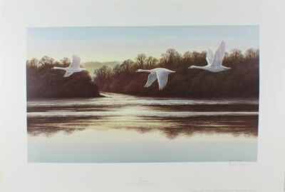 DRUCK/ ABEND/ VON DAVID PARRY/ SIGNIERTE AUSGABE/EINES VON EINEM PAAR/ 61 CM X 35 CM/