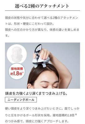 ReFa BEAUTECH HEAD SPA Scalp Massager Hair Care Device Japan 100