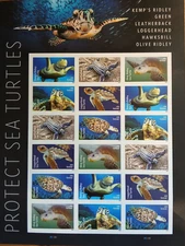 2024 PROTECT SEA TURTLE FOREVER STAMPS--MNH