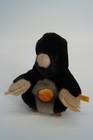 Bild 9 von 9