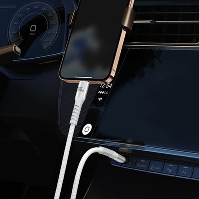 Double End USB Type C Data Cable 100W Type C Charging Cord Support 480Mbps Data