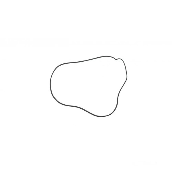 Kupplungsdeckeldichtung Originalersatzteil FüR KTM RC8 1190 R Bj. 2009-2015-image