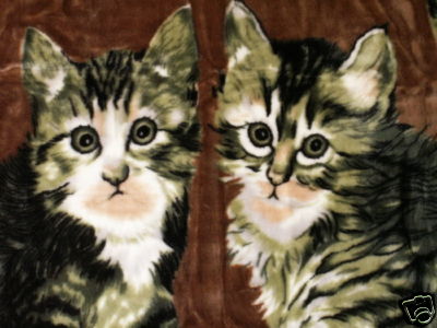 Kuscheldecke Tagesdecke Wohndecke Decke Plaid Katzen Motiv II - grün160x200cm