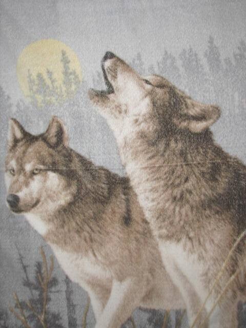 Bild 10 von 10