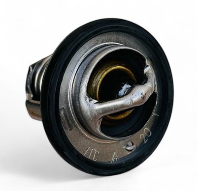 NEW GENUINE OEM THERMO KING TRIPAC / EVOLUTION THERMOSTAT 71C /  13-954