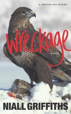 Wreckage by Niall Griffiths Paperback Book The Fast Free Shipping