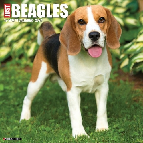 Beagles 2027 Wall - Image 6