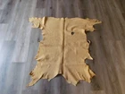 DEERSKIN TANNED  BUCKSKIN 33 INCH BY 24 INCH