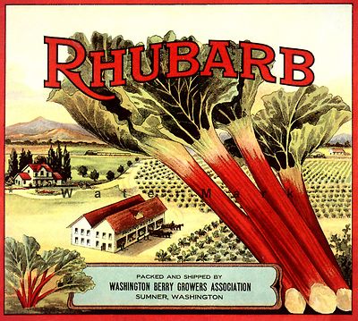 Rhubarb Crate Label Sumner WA Vintage Poster Print Retro Fruit Crate Label Art