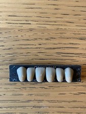 Rare Antique Vintage False Teeth Unusual Anatomically Dentures Diatorics