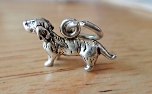 Sterling Silver 10x18mm Long Hair Dachshund Weiner Dog Charm Ebay