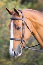 Shires Salisbury Fairford