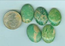5 Stabilized American Turquoise Emerald Mountain cabs unbacked 18mm x 24mm 12gms