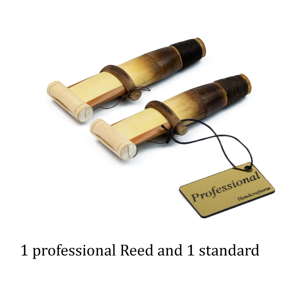 Instrumento profesional armenio DUDUK 432Hz llave A madera de albaricoque Foto 3 de 4