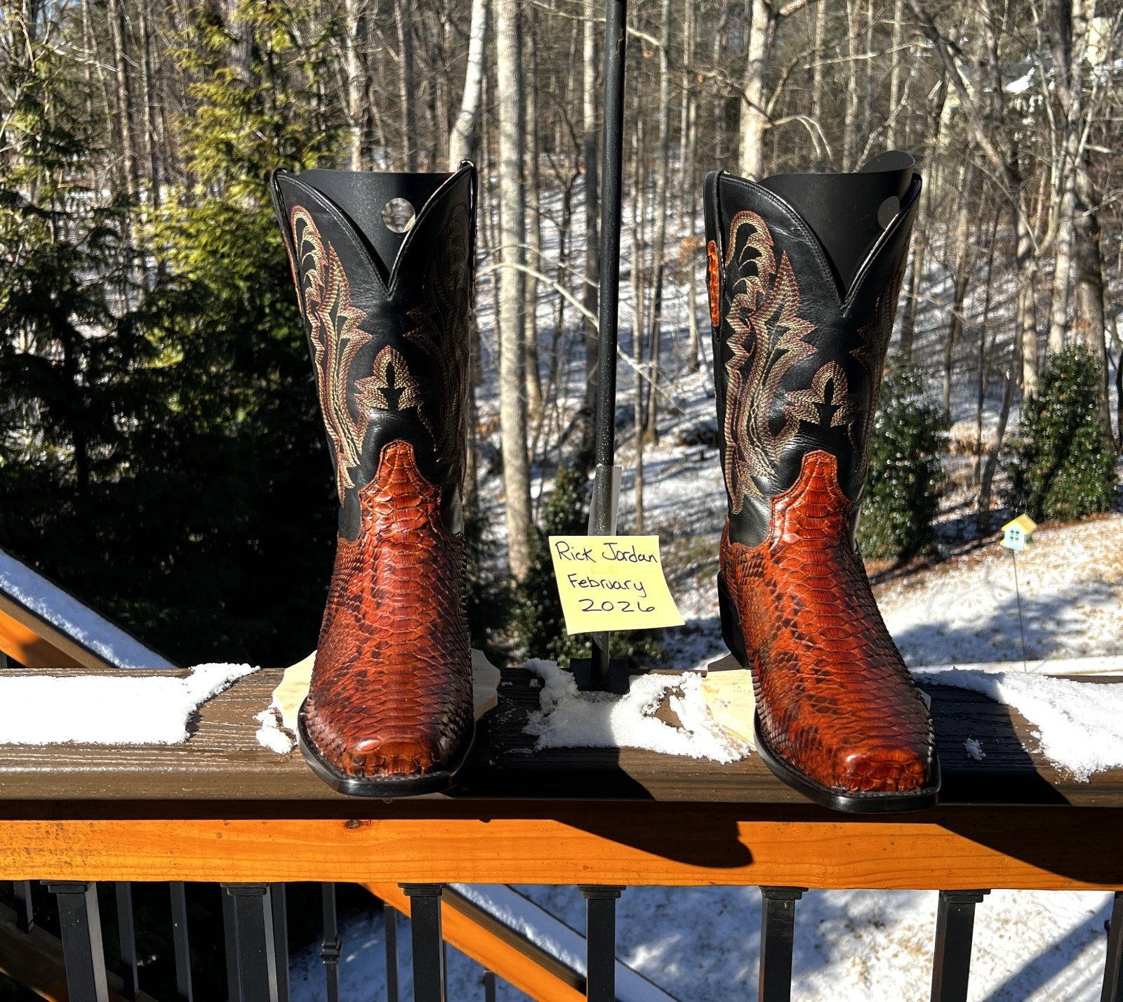 Dan Post Rustic Exotic Python Cowboy Boots in men… - image 1