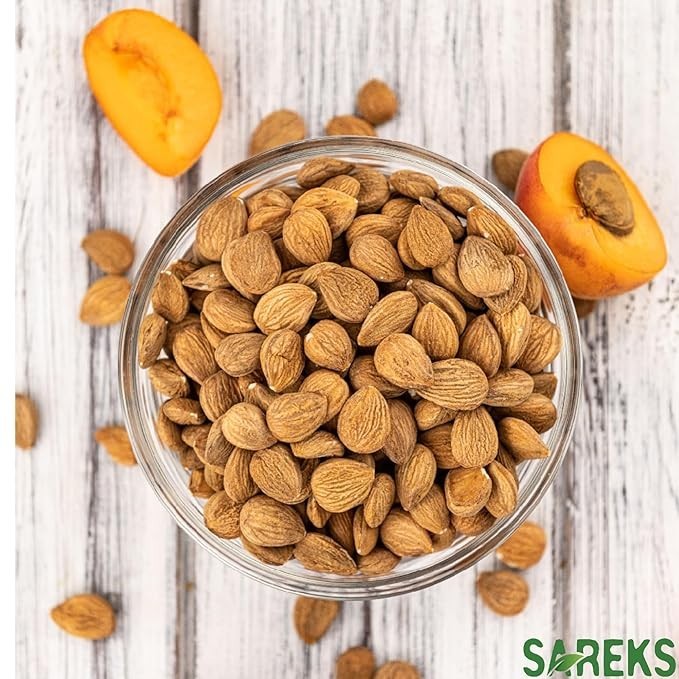 Bitter Apricot Kernels Organic Raw (1 LB) USDA Organic Certified - Turkey