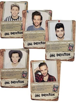 NEU 5 Mitglieder Make Up von One Direction Die komplette Palette Sammlung