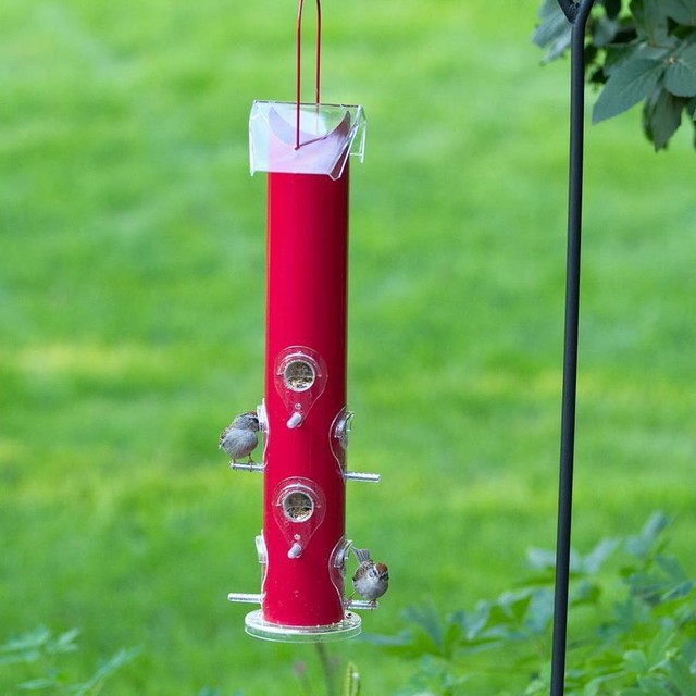 Perky Pet Triple Tube Nyjer Thistle Bird Feeder For Sale Online Ebay