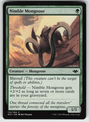 Nimble Mongoose 174 Common Modern Horizons Magic: The Gathering Near Mint