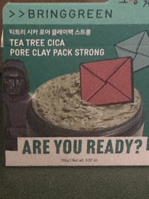 BRINGGREEN Tea Tree Cica Pore Care Clay Mask Pack Strong for Face