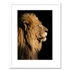 Big Male African Lion Portrait Art Picture Framed Wall Art Print