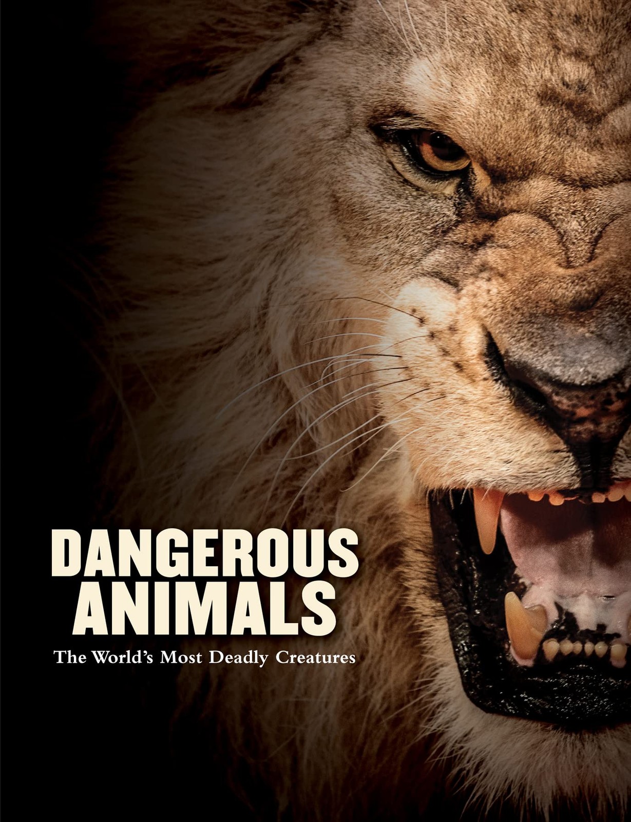 Dangerous Animals: The World's Most Deadly Creatures (Animals in