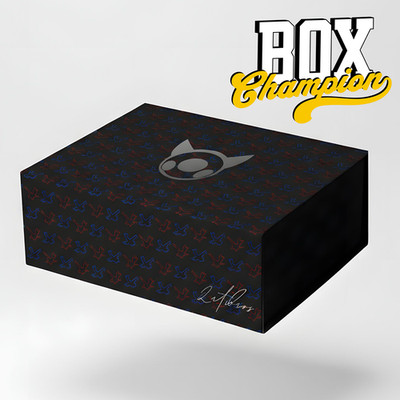 Pokemon Mystery Box Bundle | Graded Karten +  Beschreibung lesen Champion Box