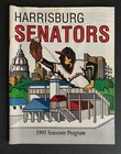 Lot of 21 Harrisburg Senators Souvenir Programs (1987-95, 98, 11, 19, 22, 23) — photo 9