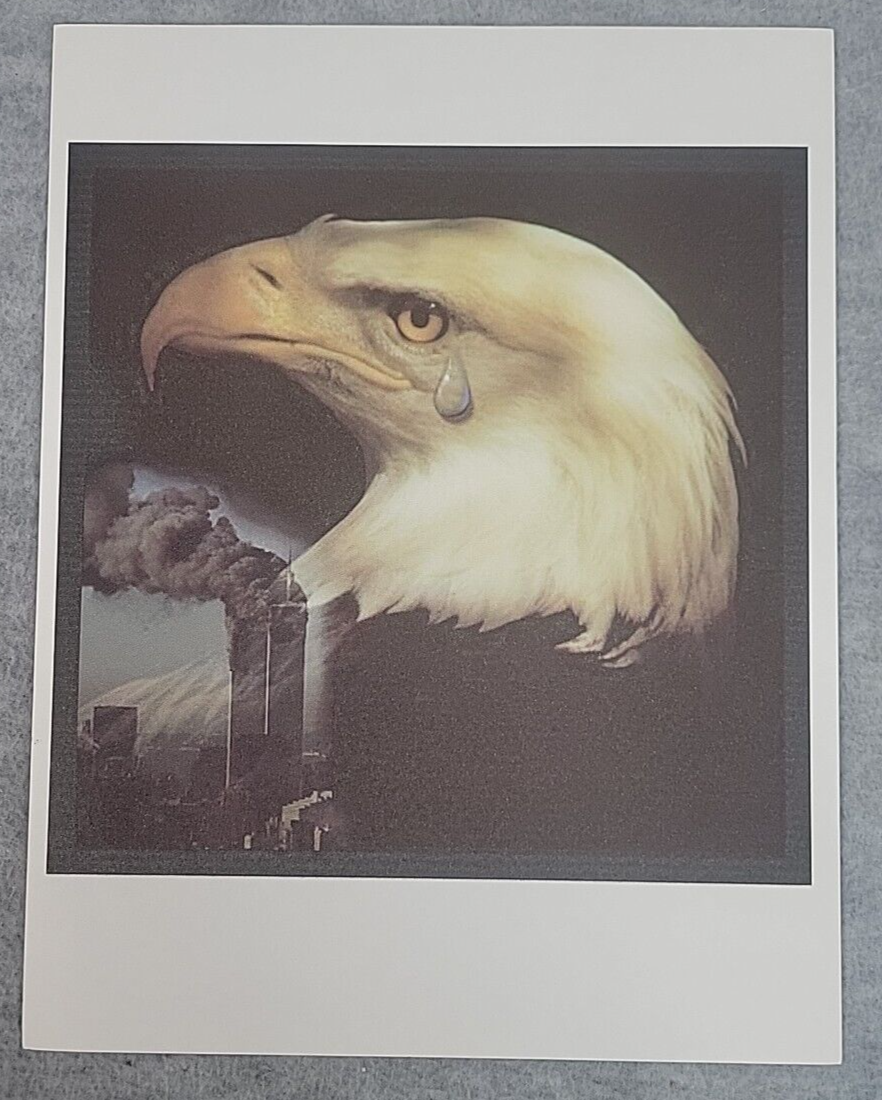 New York City Bald Eagle Crying over 9-11-01 Twin Towers 8