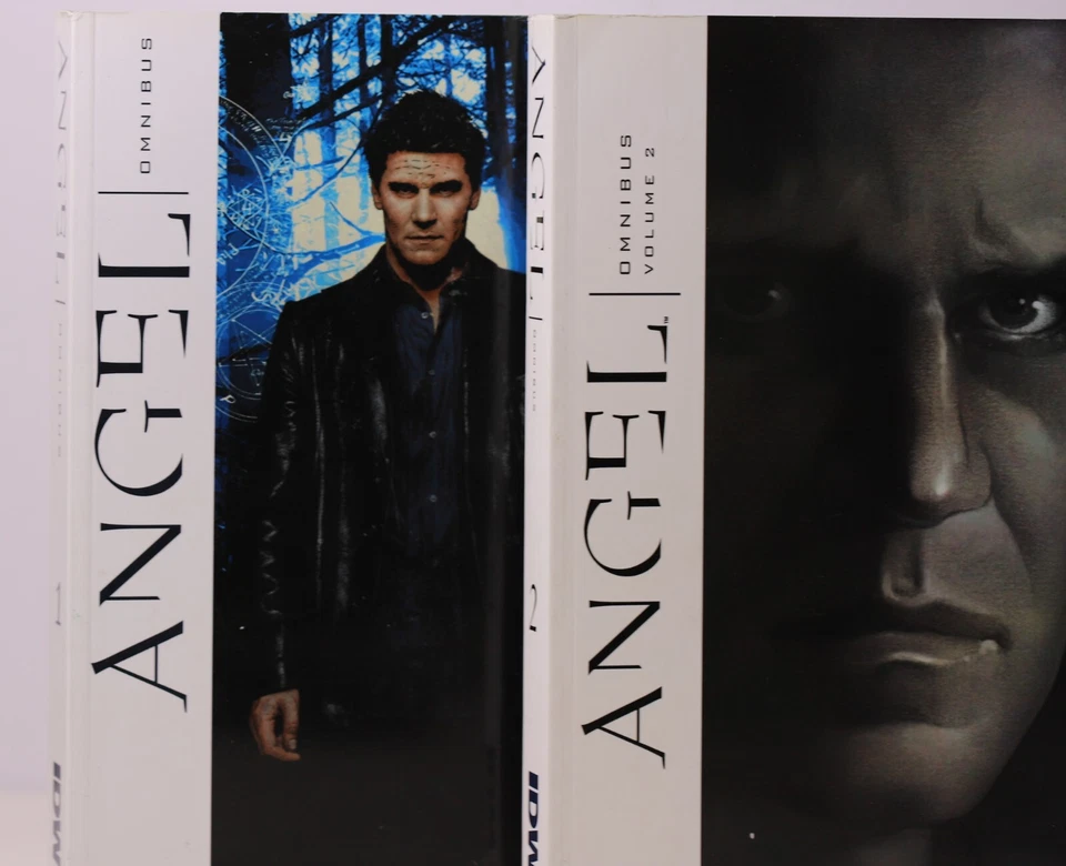 Tischman, David: Angel Omnibus Volumen 1 y 2 TP RARO OOP IDW Juego de Novela Gráfica Foto 3 de 4