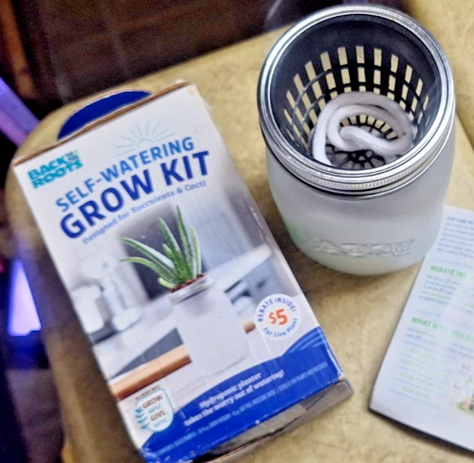 2x SELF-WATERING GROW KIT - SUCCULENTS mini hydroponic system - Image 2 of 3