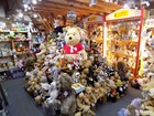 Bild 10 von 15