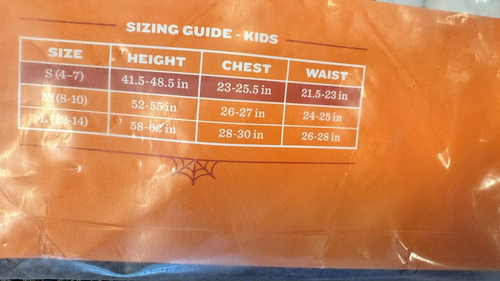 Hyde and Eek Kids Referee child costume size Small 4-7 - Picture 3 of 3