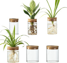 Glass Plant Propagation Station Set   Water Planting Glass Vase for Herb Cutting