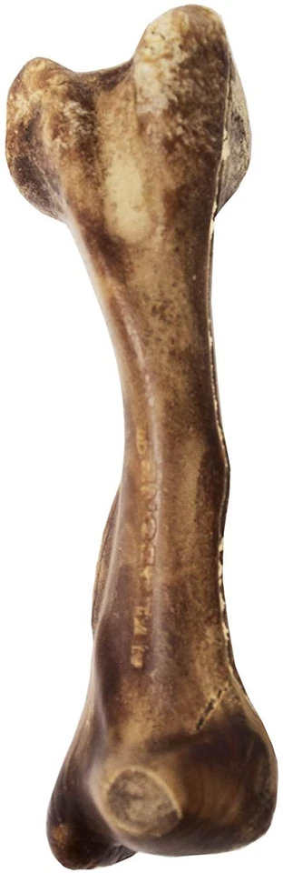 Nylabone Comestibles Saludables Sabor Venado Salvaje Hueso Golosina Grande para Perros - Paquete de 3 Foto 3 de 3