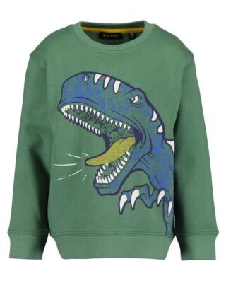 Blue Sweatshirt BIG DINO dunkelgrün
