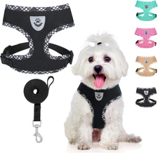 Adjustable Dog Vest Harness and Leash Set,No Pull & No Choke Reflective Dog Harn