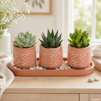 Terra 4Tlg Blumentopf Set Terrakotta 3X TöPfe Mit Untersetzer Blumen Mediterran