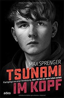 Tsunami im Kopf: Flachgelegt von einer Hirnblutung. Aber... | Buch | Zustand gut