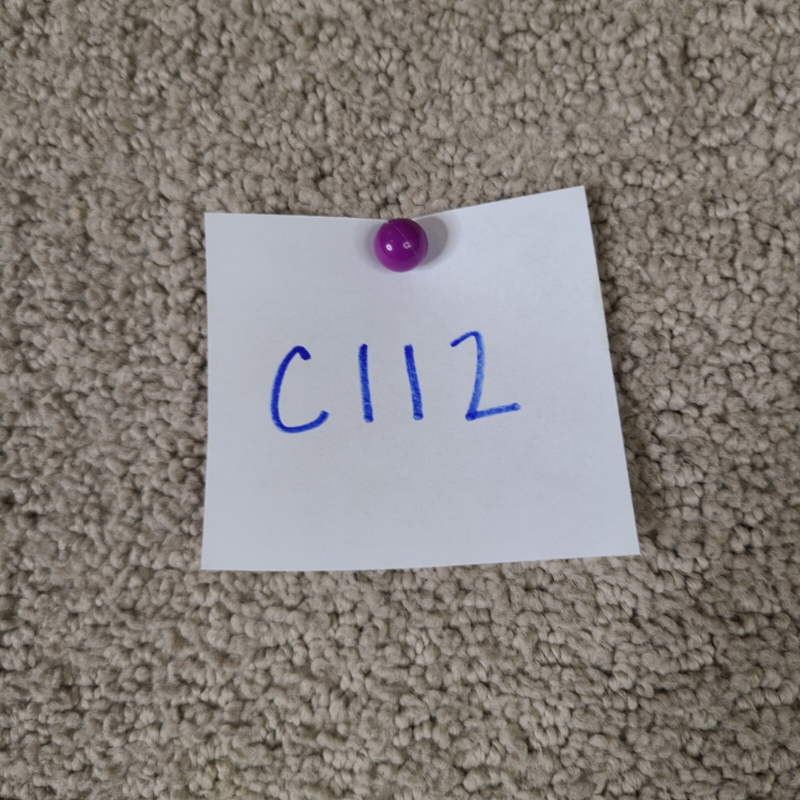 Picture 15 of 15