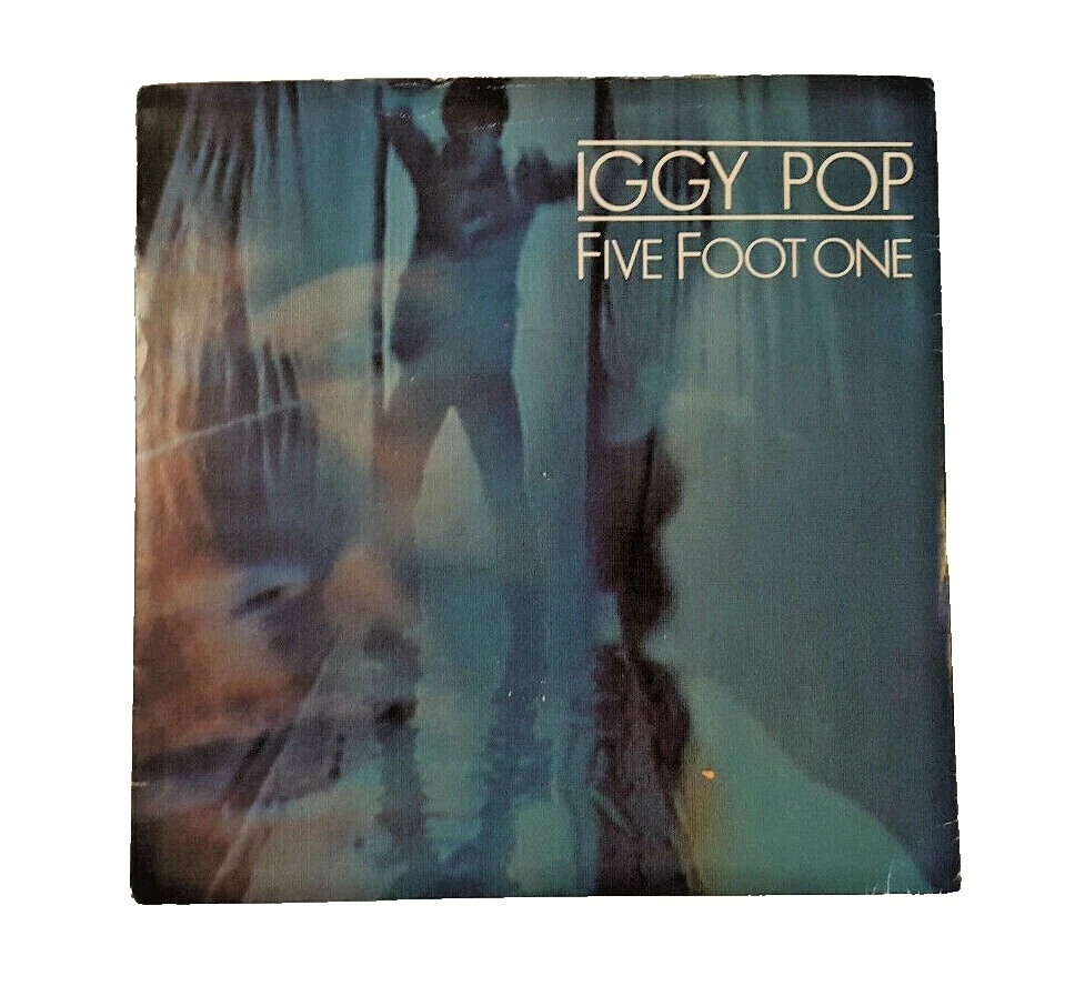 Very Good Plus (VG +) Sleeve Grading Iggy Pop Single Vinyl Records