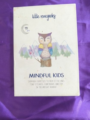 Little Renegades : Mindful Kids by Blake Lown Beers (2019, Hardcover)