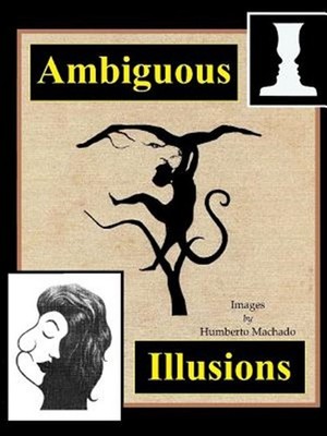 Ambiguous Illusions, Brand New, Free shipping in the US