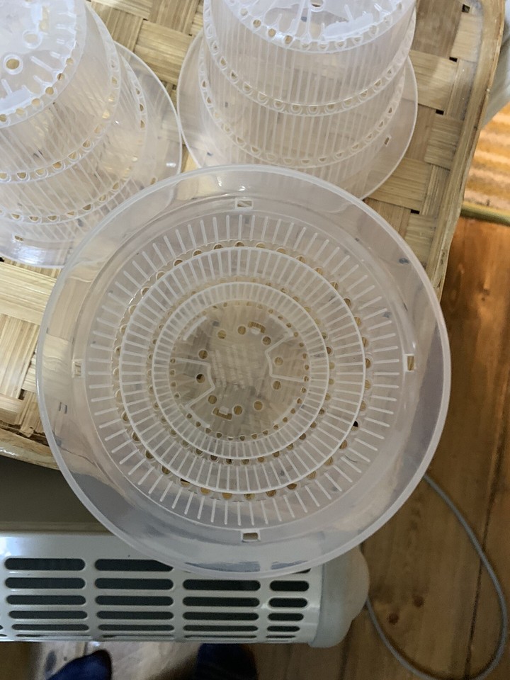 5X Clear Orchid Pots with Holes Breathable Plant Flower Pots () eBay