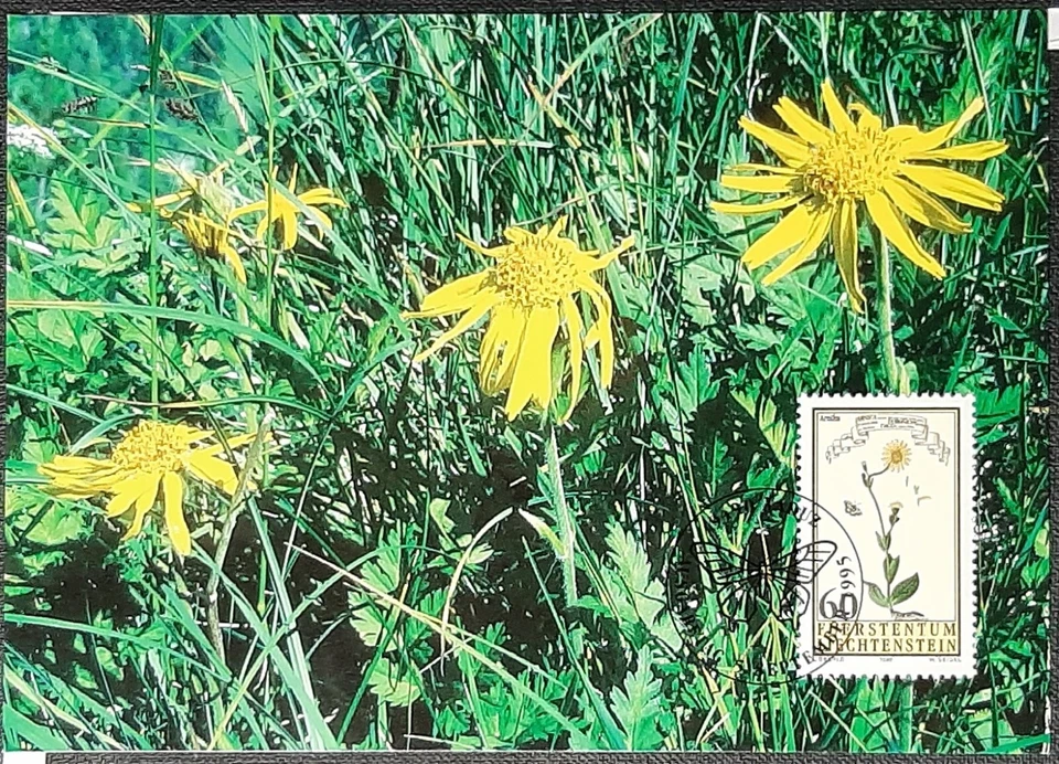 (LIE-210)Liechtenstein 1995 Medicinal Plants set SG 1107-10 unused on Maxi Cards - Image 3 of 4