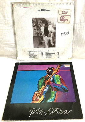 ROBERT LAMM - Skinny Boy & PETER CETERA  lp album vinyl - CHICAGO members
