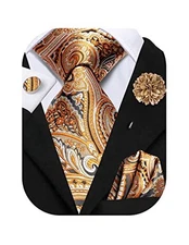  Mens Tie Set Silk Striped Woven Necktie with Lapel Pin Pocket Gold Paisley