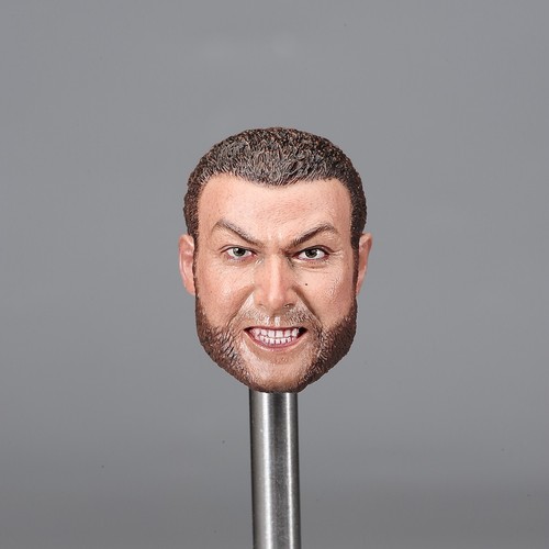 Figura de acción masculina de juguete 1/6 Logan Wolverine Liev Schreiber cabeza esculpida ajuste 12 pulgadas - Imagen 9 de 9