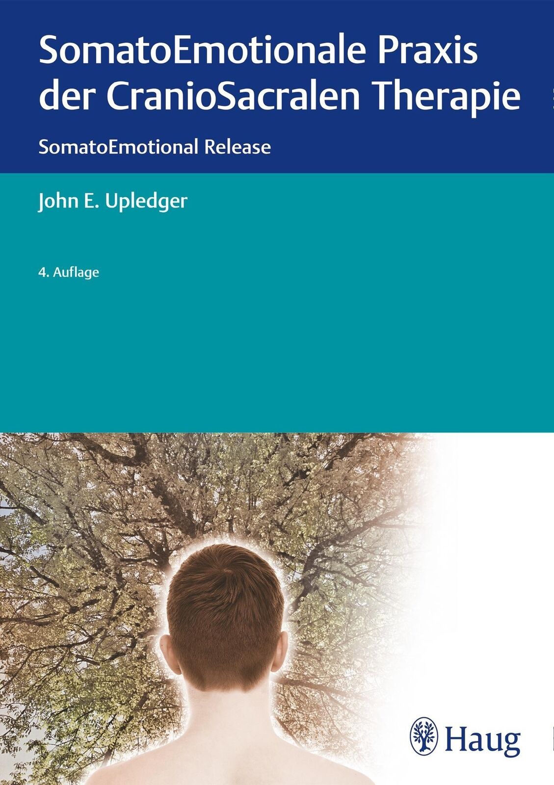 Thumbnail - Somatoemotionale Praxis Der Craniosacralen Therapie | Somatoemotional