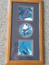 Classic Oak Frame Matted BIRD PRINT TRIO 12" x 22" Cardinal~Blue Jay~Finch